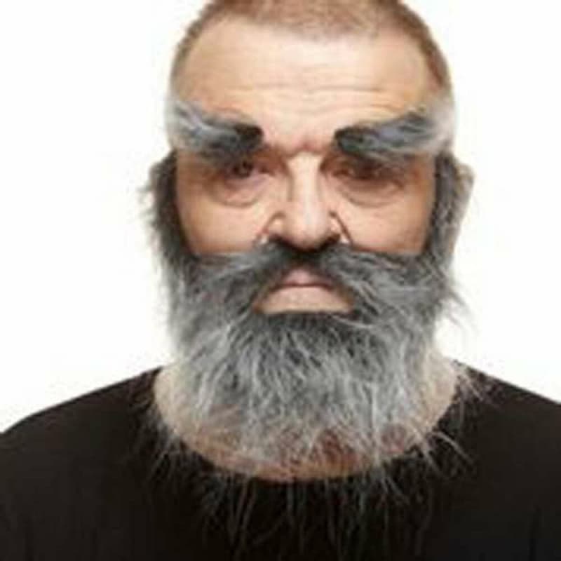 Fausse barbe My Other Me Gris - Image 1
