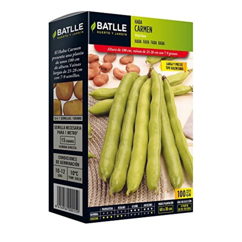 Fèves Longues Carmen - Semences Horticoles Batlle (100g) - Image 1