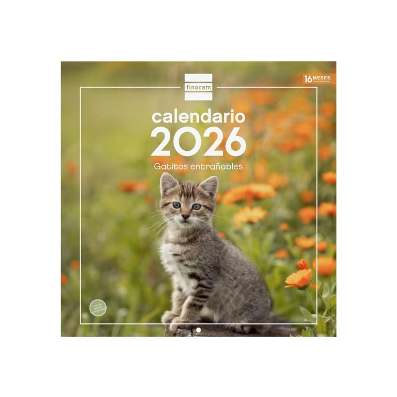 Calendrier Mural 2026 Finocam - Petits Chats, 30 x 30 cm - Image 1
