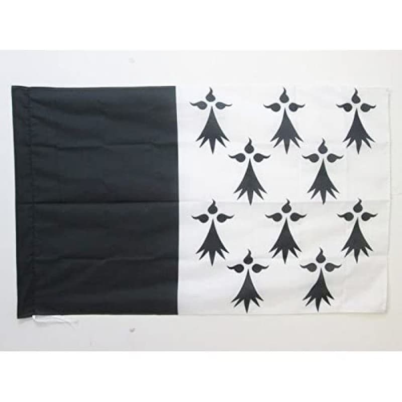 Drapeau du Pays Rennais 90x60 cm en Polyester - AZ FLAG - Image 1