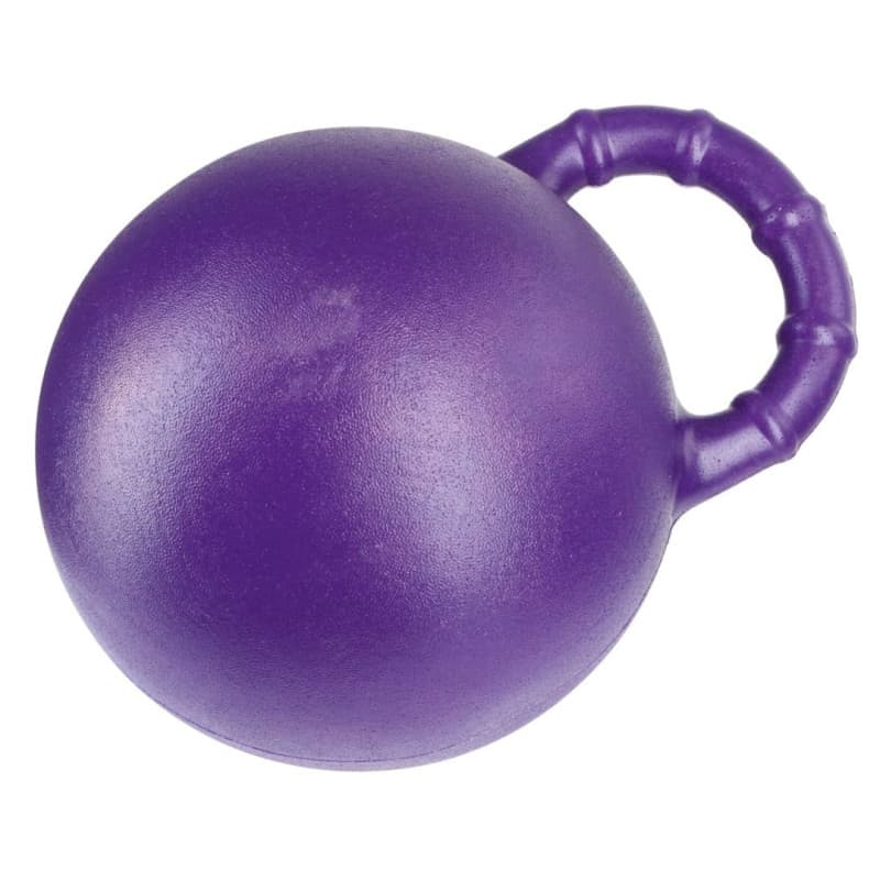 Balle à Jouer pour Cheval Kerbl - 25 cm Menthe - Image 1