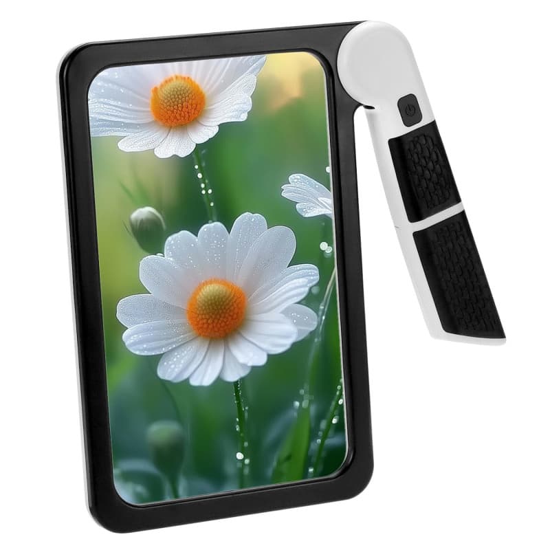 Loupe de Lecture Pliable 5X avec Lumière LED - QWORK - Image 1