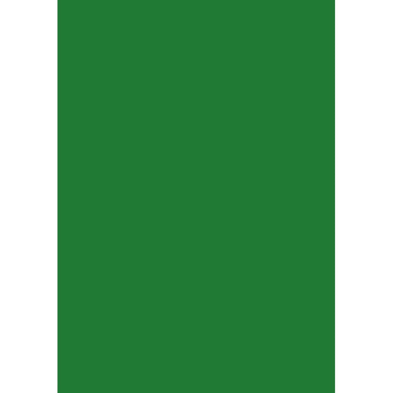 Papier Multifonction A4 80g/m² Vert Foncé - 50 Feuilles - Image 1