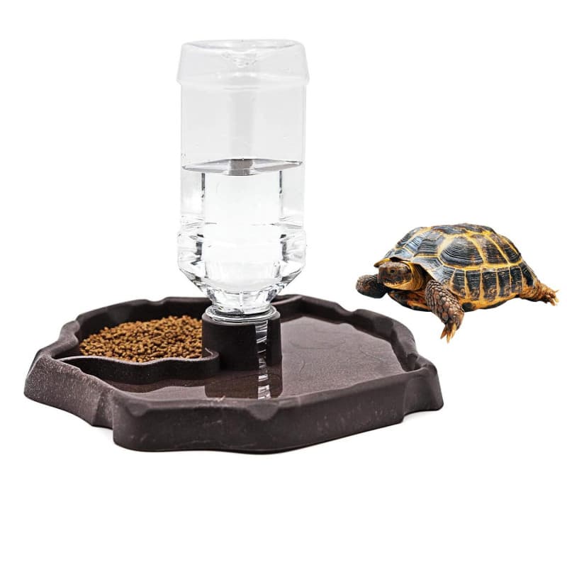 Bol à Eau et Nourriture 2 en 1 pour Reptiles - JOYOLA - Image 1