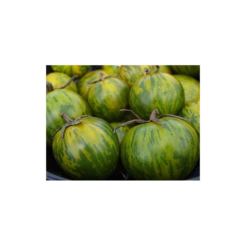 Graines de Tomate Green Zebra Non OGM - 25 Graines - Image 1