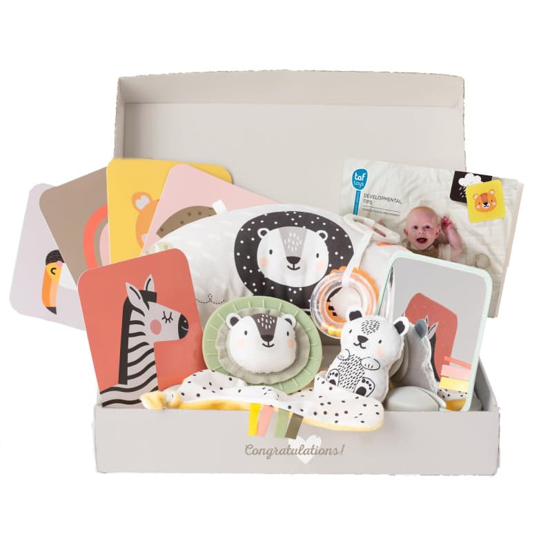 Coffret Cadeau Éveil pour Nouveau-né - Taf Toys - Image 1