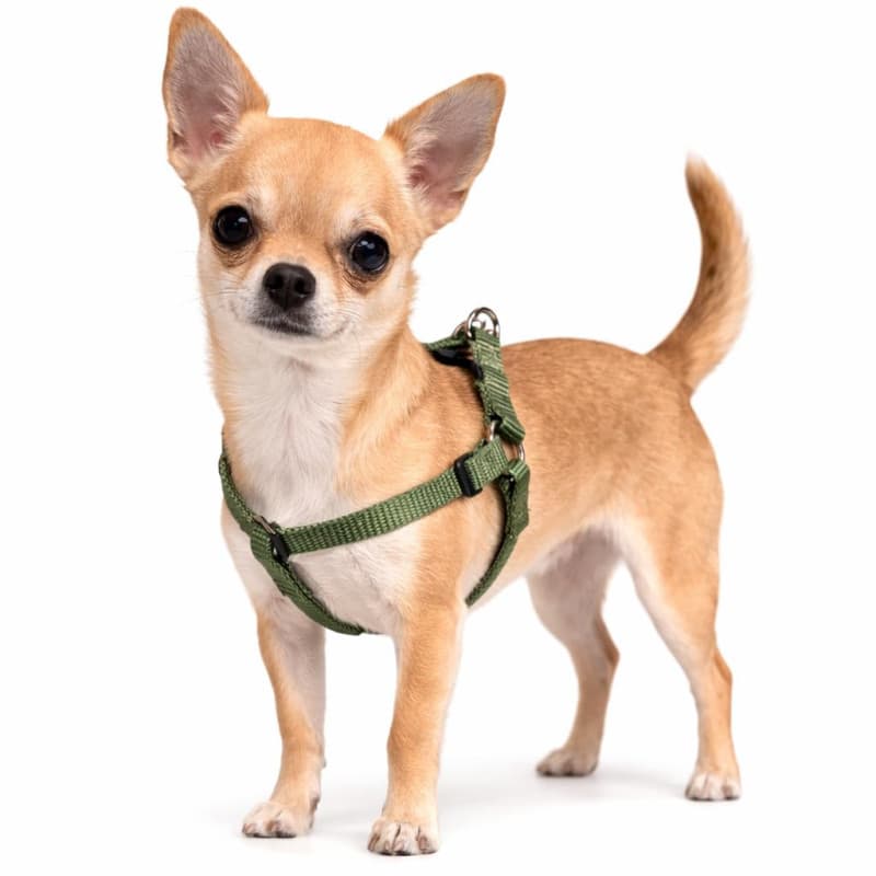 Harnais Chien Ziggi Kaki XS - Confort et Sécurité - Image 1
