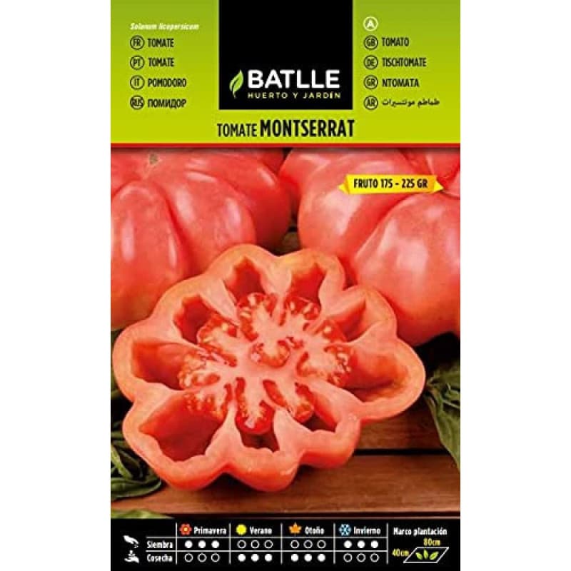 Semences de Tomates Montserrat - Semillas Batlle - Image 1