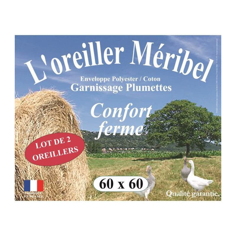 Oreiller Dodo 60 x 60 cm (2 Unités) - Image 1