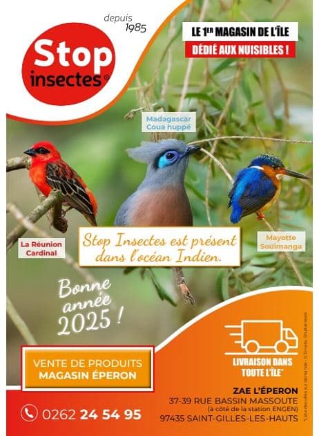 STOP INSECTES EST PRÉSENT DANS L’OCÉAN INDIEN