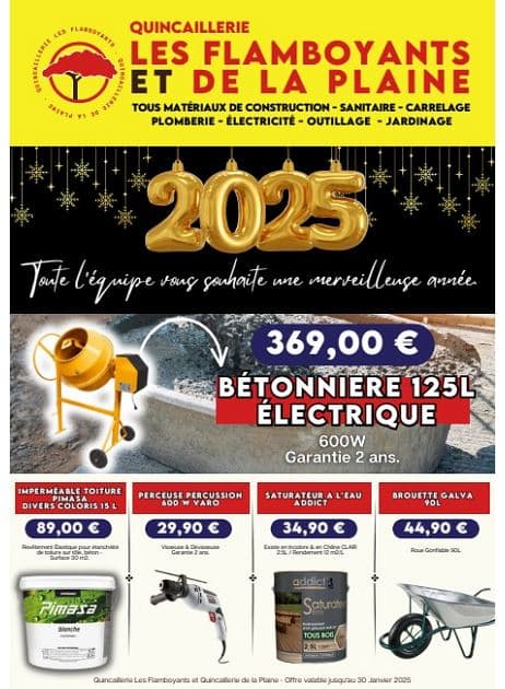 LES FLAMBOYANTS ET DE LA PLAINE