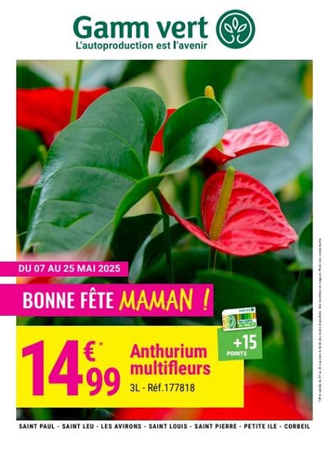 BONNE FÊTE MAMAN