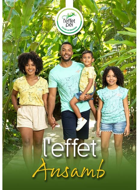 L'EFFET ANSAMB