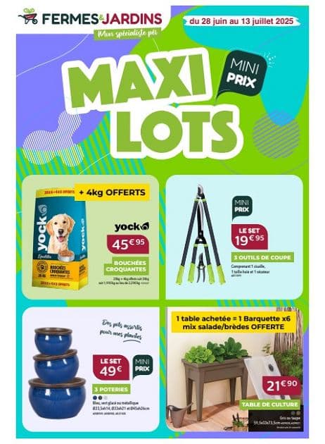 MAXI LOTS