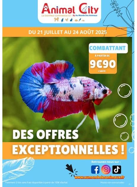 DES OFFRES EXCEPTIONNELLES