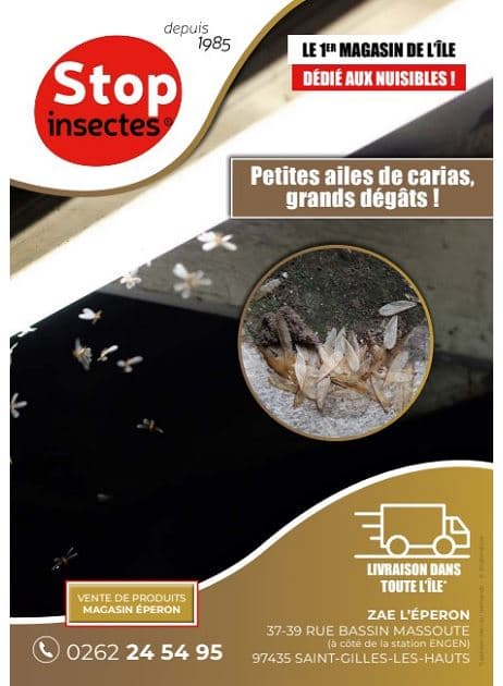 PETITES AILES DE CARIAS, GRANDS DÉGÂTS !