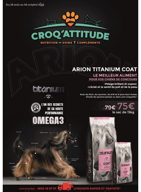 CROQ'ATTITUDE
