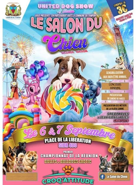 LE SALON DU CHIEN