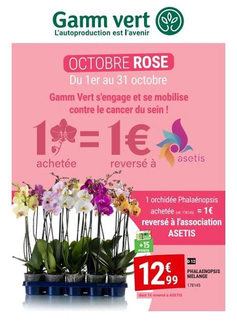 OCTOBRE ROSE