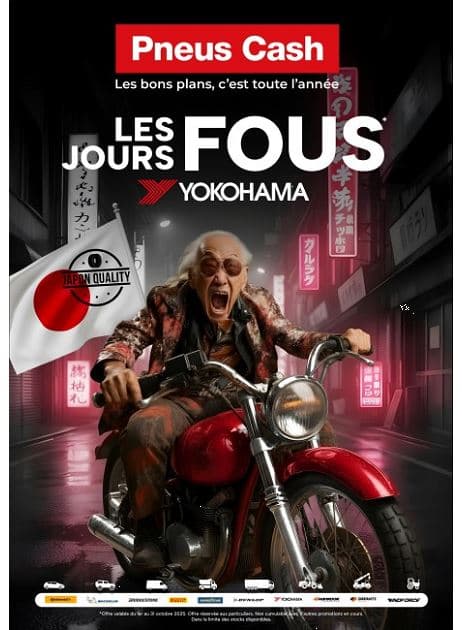 LES JOURS FOUS