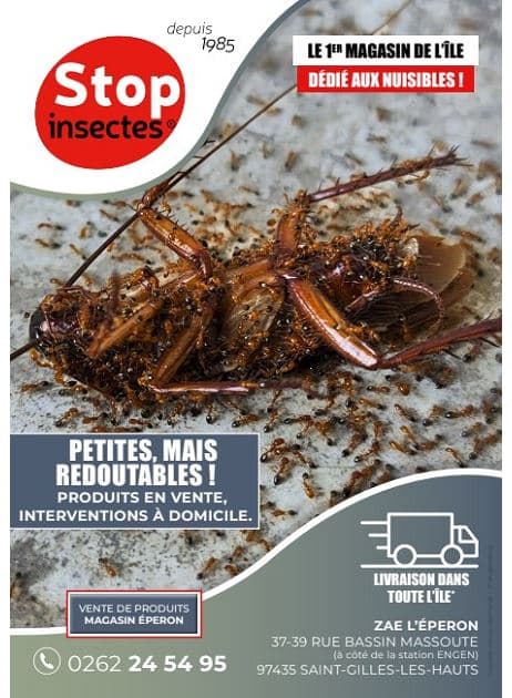 STOP INSECTES