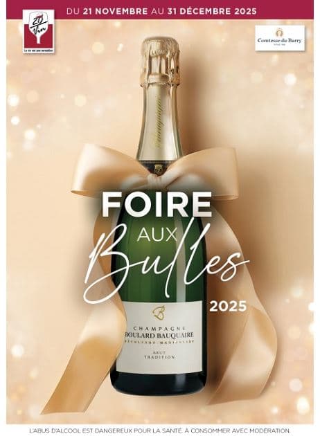 FOIRE AUX BULLES