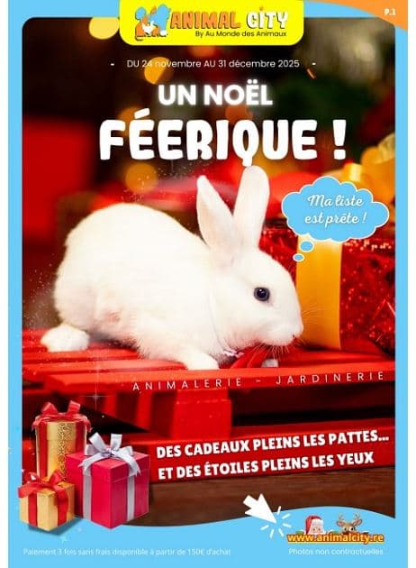 UN NOËL FÉERIQUE !