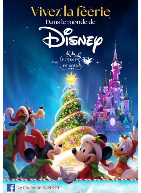 VIVEZ LA FÉERIE DANS LE MONDE DE DISNEY