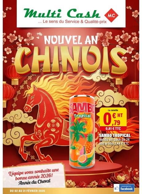 NOUVEL AN CHINOIS
