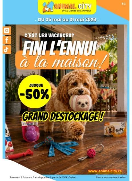 FINI L'ENNUI À LA MAISON!