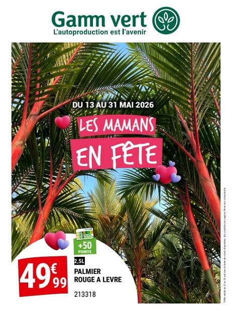 LES MAMANS EN FÊTE