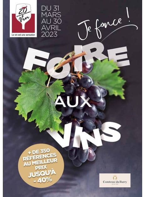 FOIRE AUX VINS