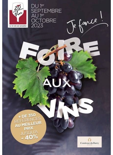 FOIRE AUX VINS