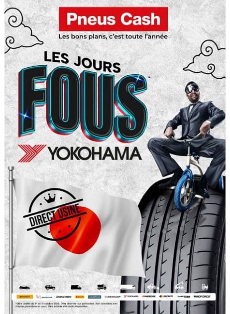 LES JOURS FOUS
