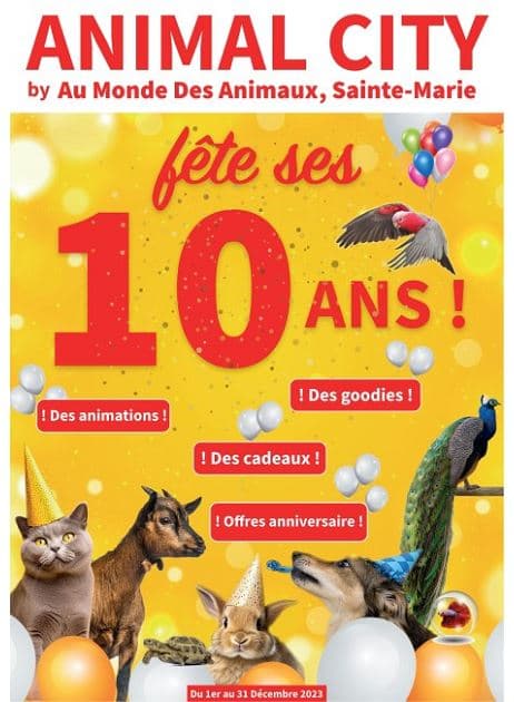 10 ANS