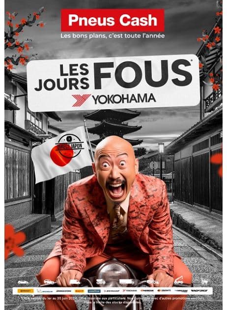 LES JOURS FOUS