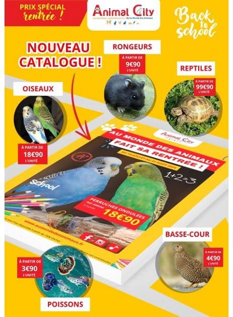PRIX SPECIAL RENTREE