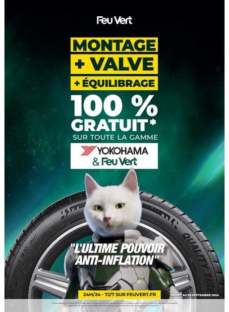 L'ULTIME POUVOIR ANTI-INFLATION