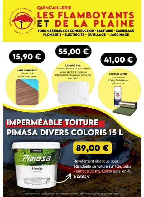 LES FLAMBOYANTS ET DE LA PLAINE
