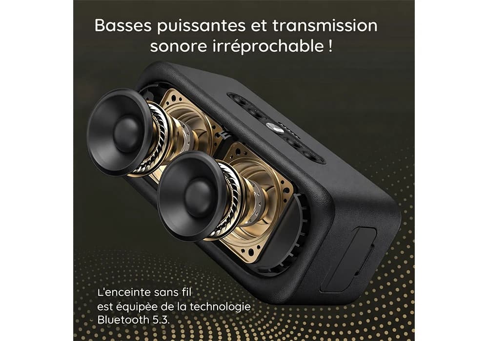Enceinte Bluetooth HAVIT CLASSIC Retro (SK905BT) - Image 3