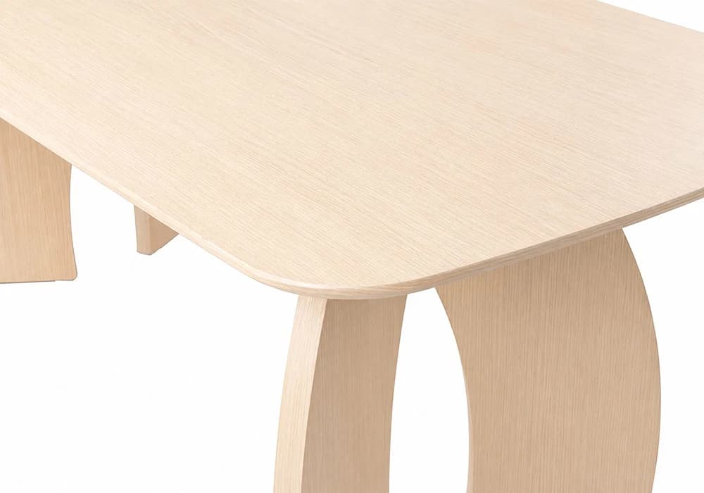 Table à Manger Rectangulaire 200 cm MELIANO - Image 5