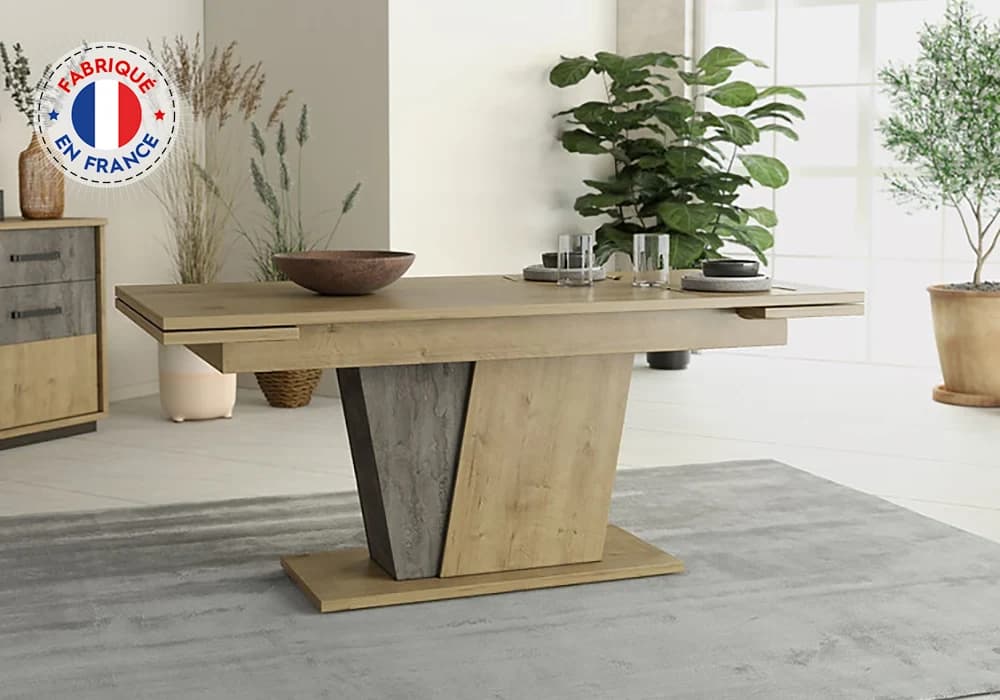 Table Rectangulaire avec 2 Allonges (Collection TERRA) - Image 1