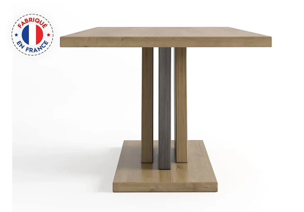 Table Basse (Collection TERRA) - Image 3