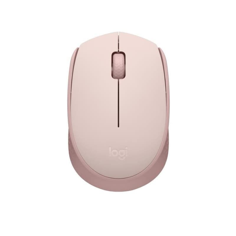 Logitech M171 souris Ambidextre RF sans fil Optique
