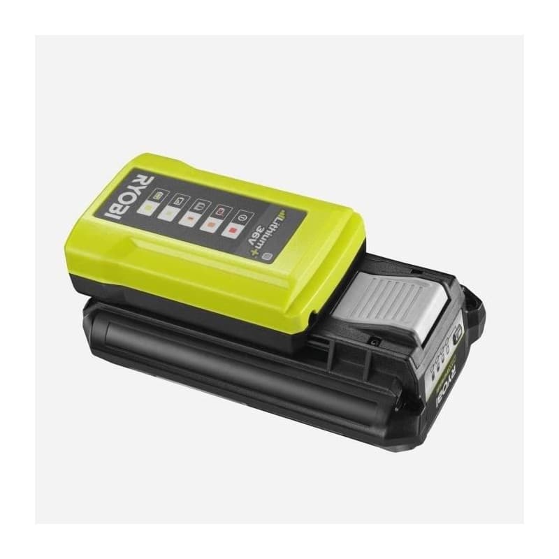 Chargeur de batterie Ryobi 36 V
