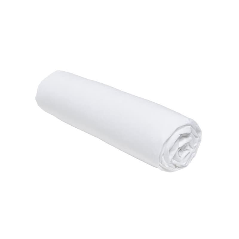 Drap housse TODAY Essential - 160 x 200+23 cm - 2 personnes - 100% Coton