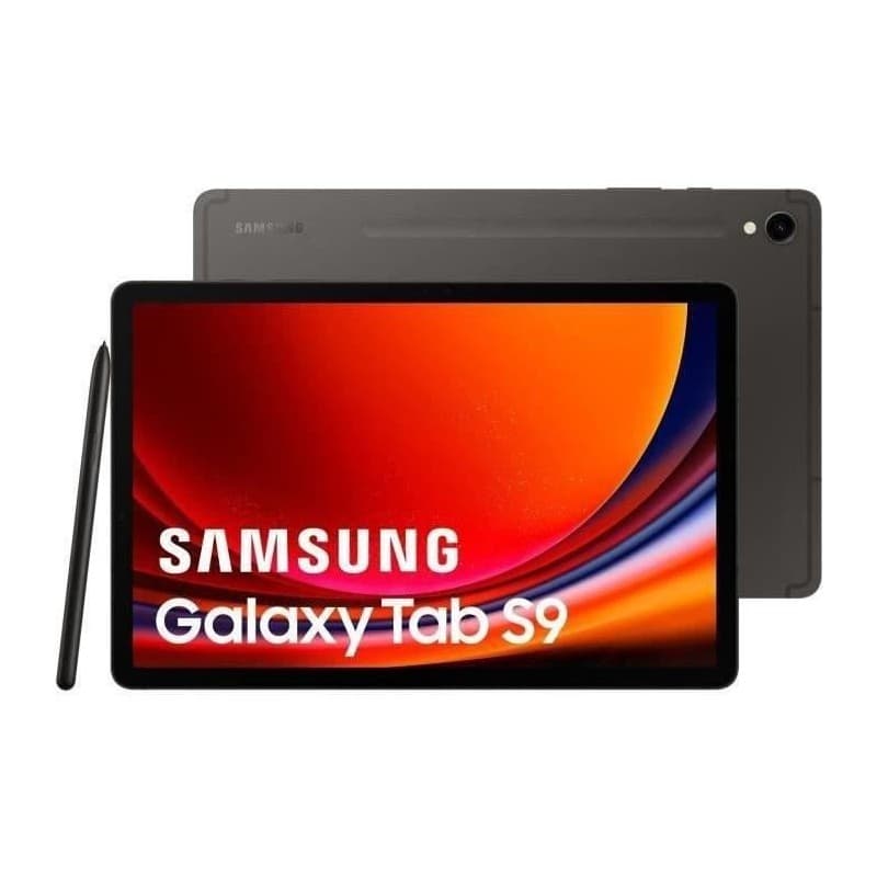 Samsung Galaxy Tab S9 SM-X716B 5G 128 Go 27,9 cm (11") Qualcomm Snapdragon 8 Go Wi-Fi 6 (802.11ax) Android 13 Graphite"