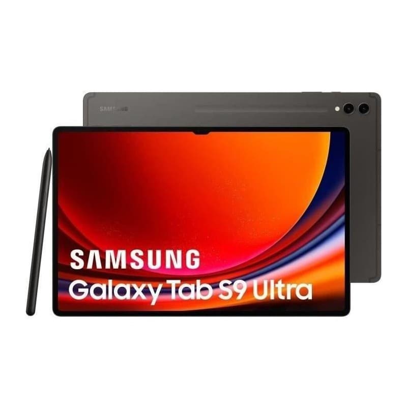 Tablette Samsung Galaxy Tab S9 12 GB RAM 14,6" 256 GB Gris"