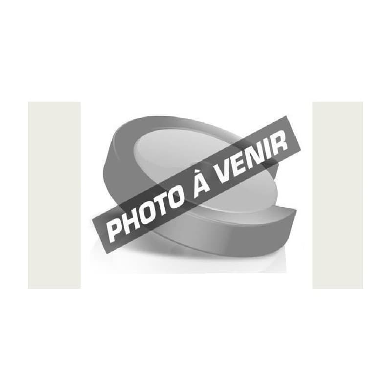 Canon Cartouche d'encre bleue photo CLI-581PB
