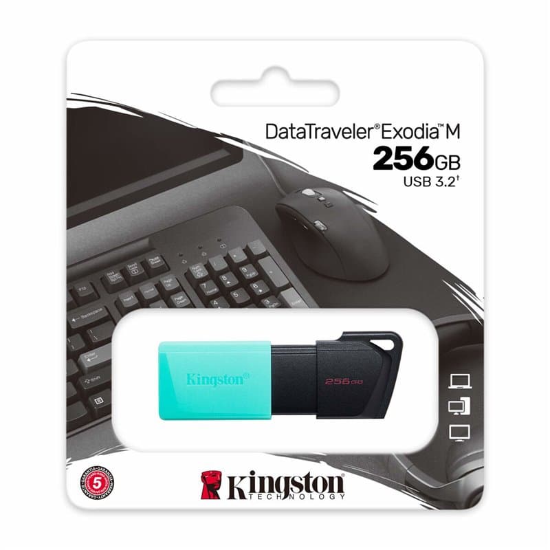 Kingston Technology DataTraveler 256GB USB3.2 Gen1 Exodia M (Noir + Turquoise)